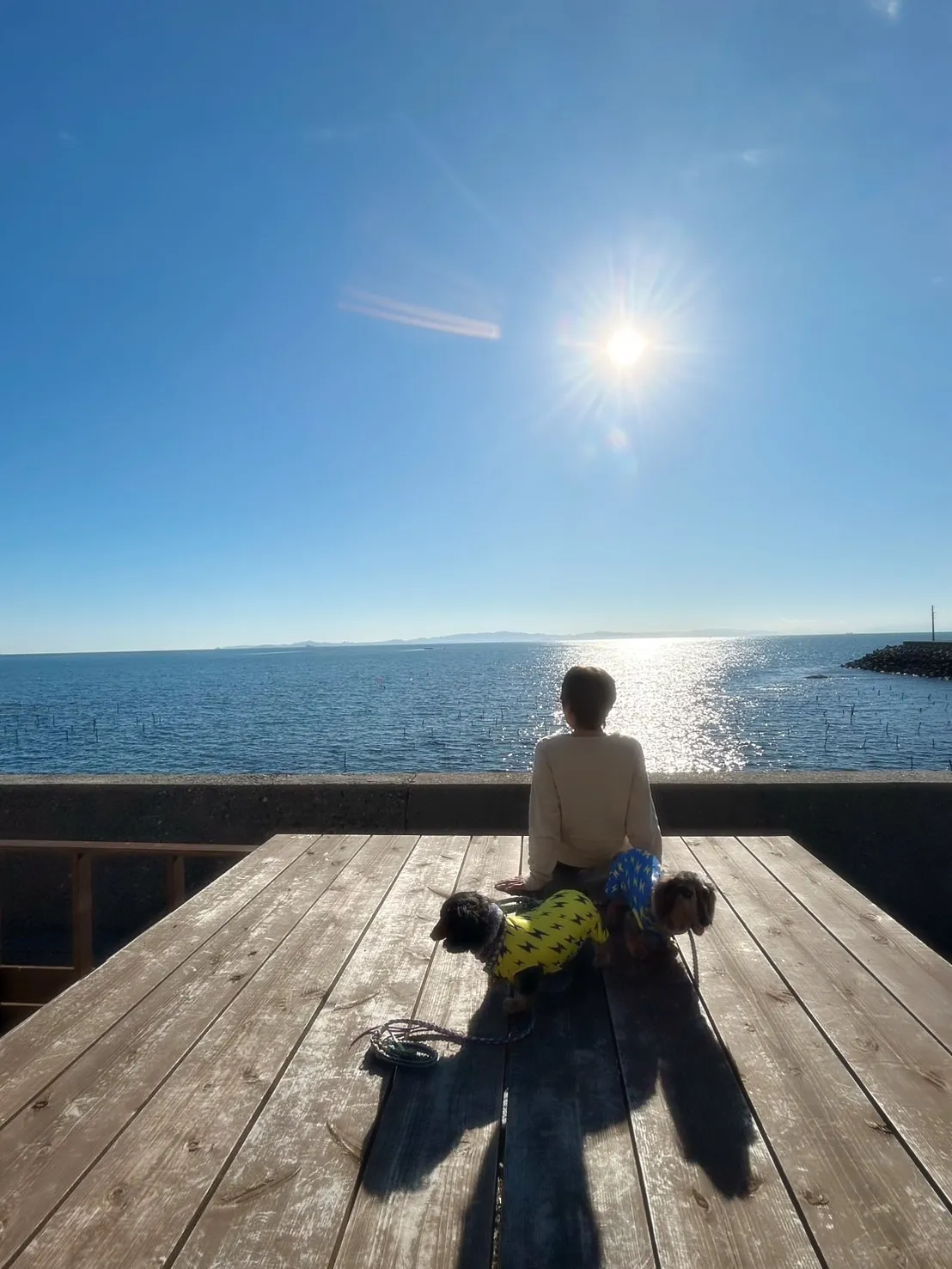 こはたくん(9歳)&春太くん(7歳)ふりりにご来店。