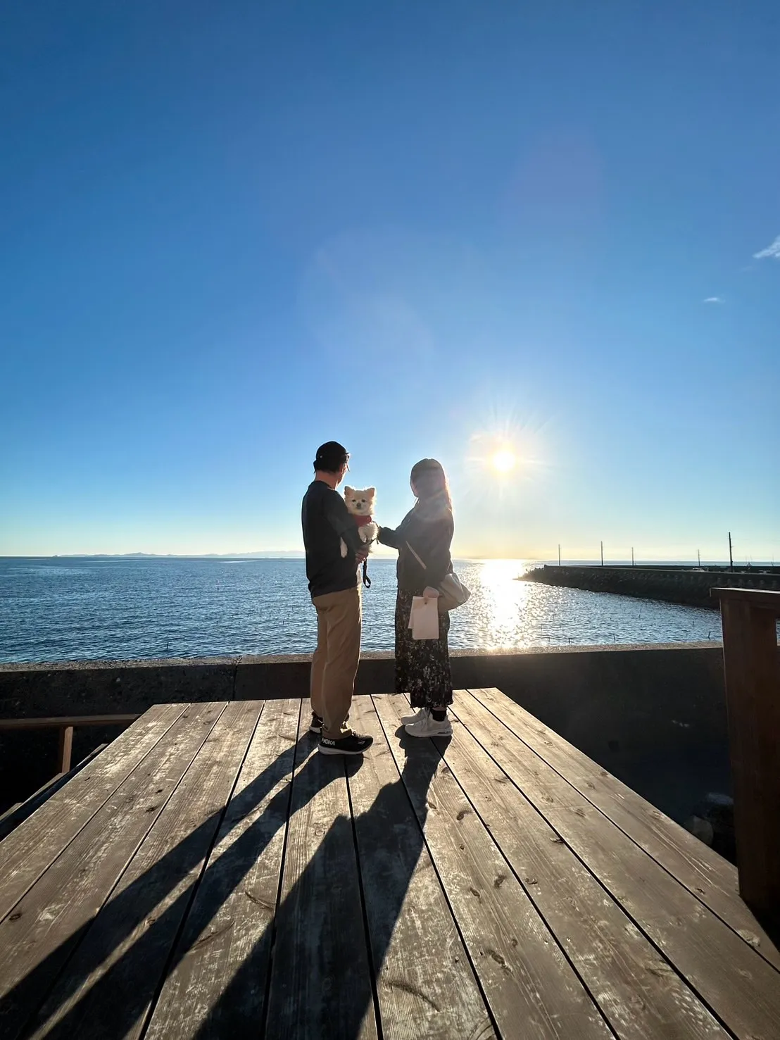 タムくん(ポメチワ・4歳)ふりりにはじめてご来店いただきまし...