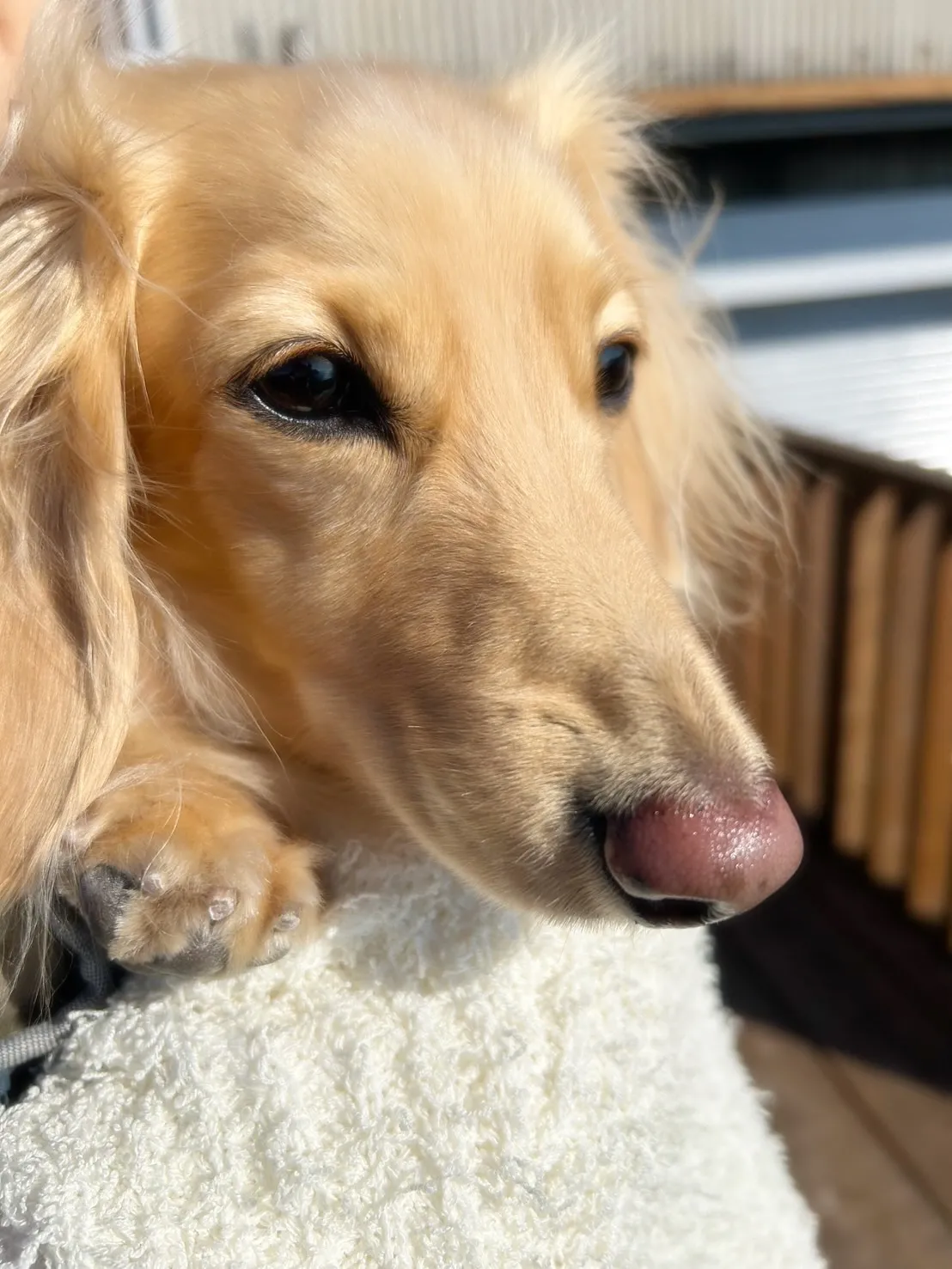 【ご来店ありがとうございます🌿】