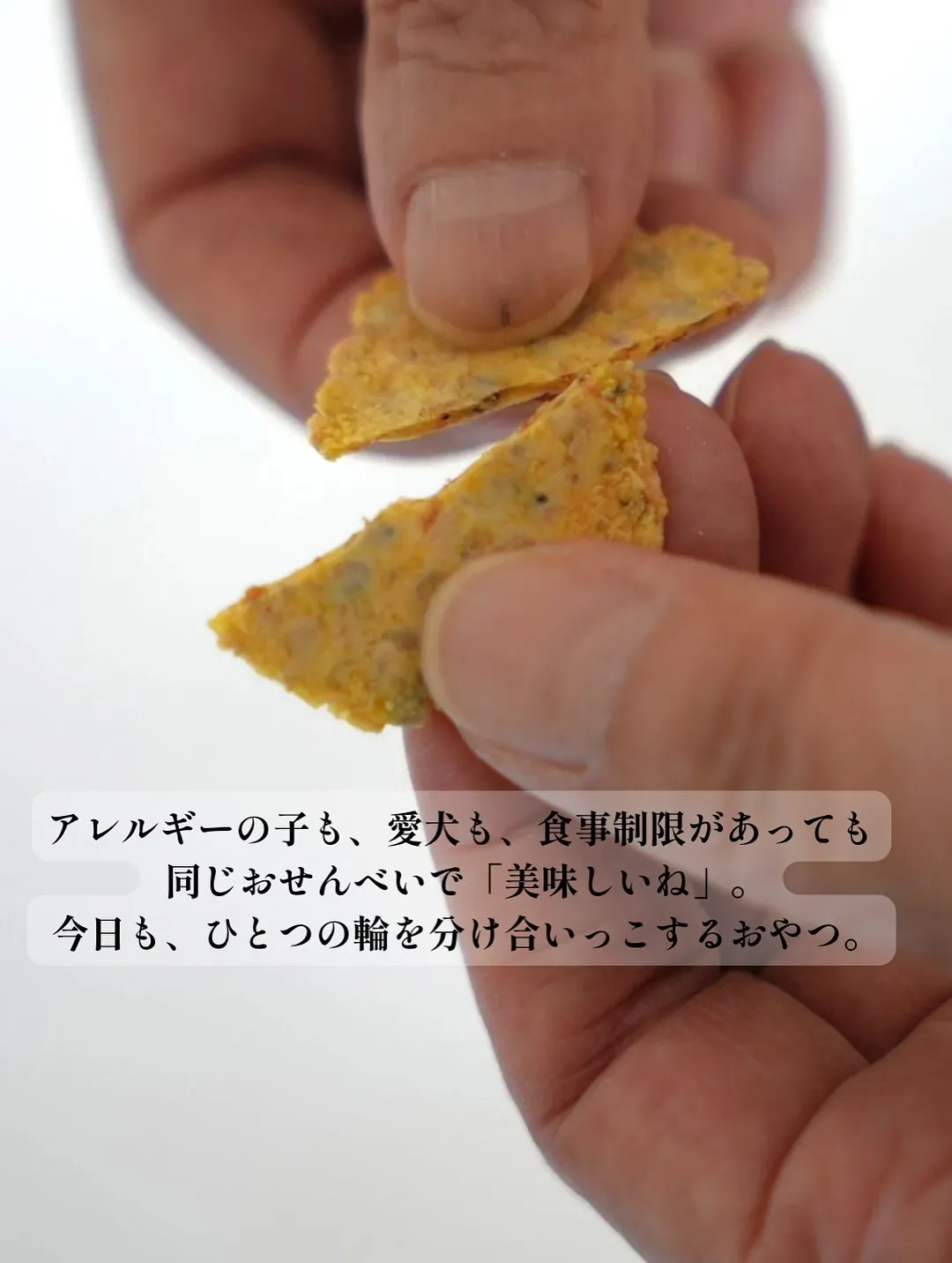 【ルルちゃん、はじめての南知多ふりりへ🌿】