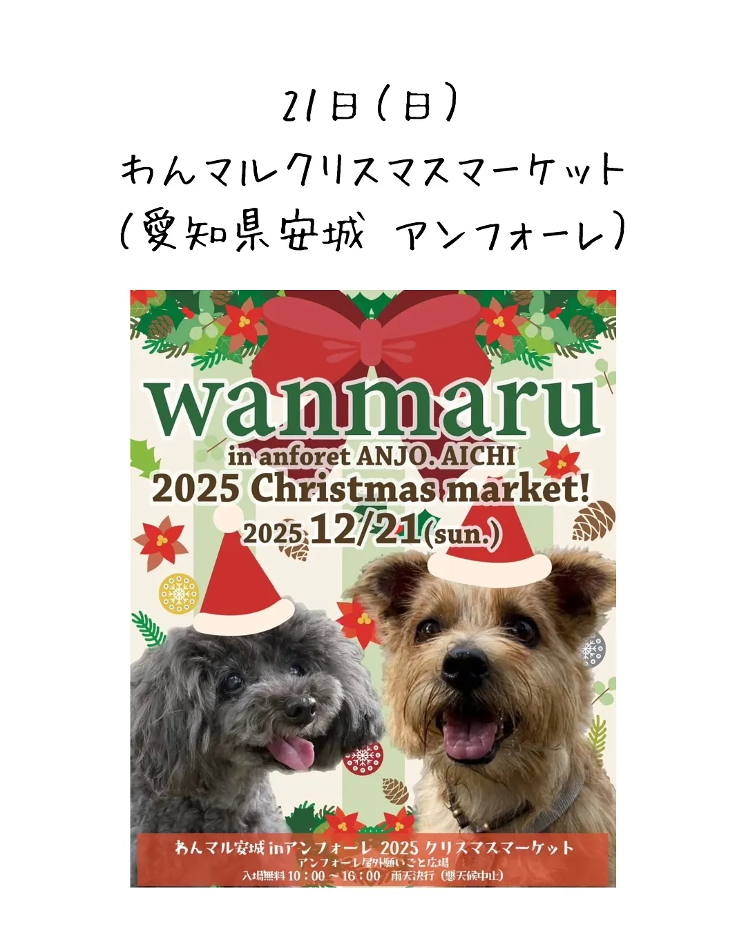 ❄️12月の出店イベントのお知らせ❄️