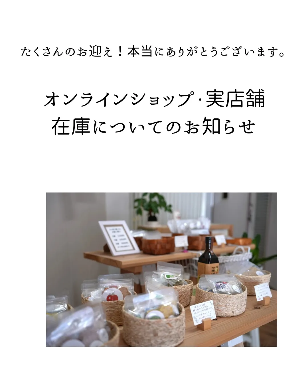 ふりりのおせんべい在庫についてのお知らせです🍘🐶