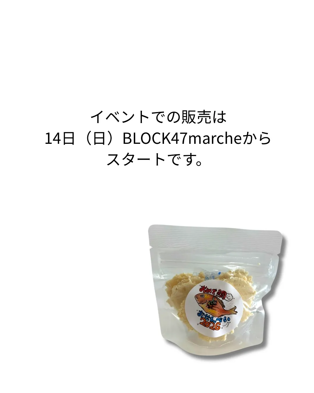 ✨🐶【お正月もわんこと一緒に】🐟✨