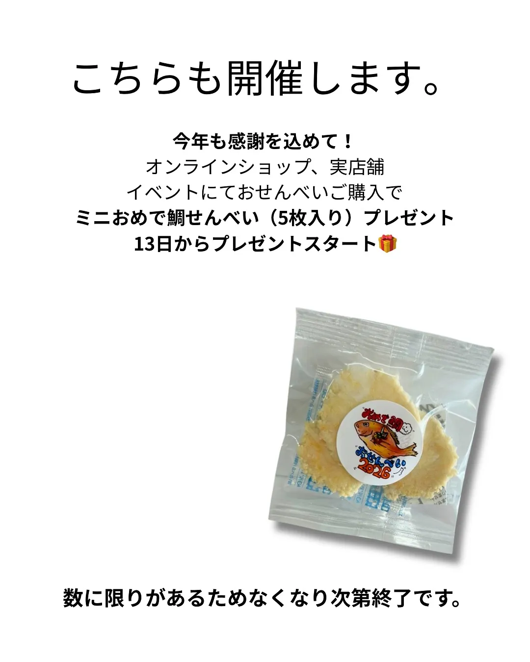 ✨🐶【お正月もわんこと一緒に】🐟✨