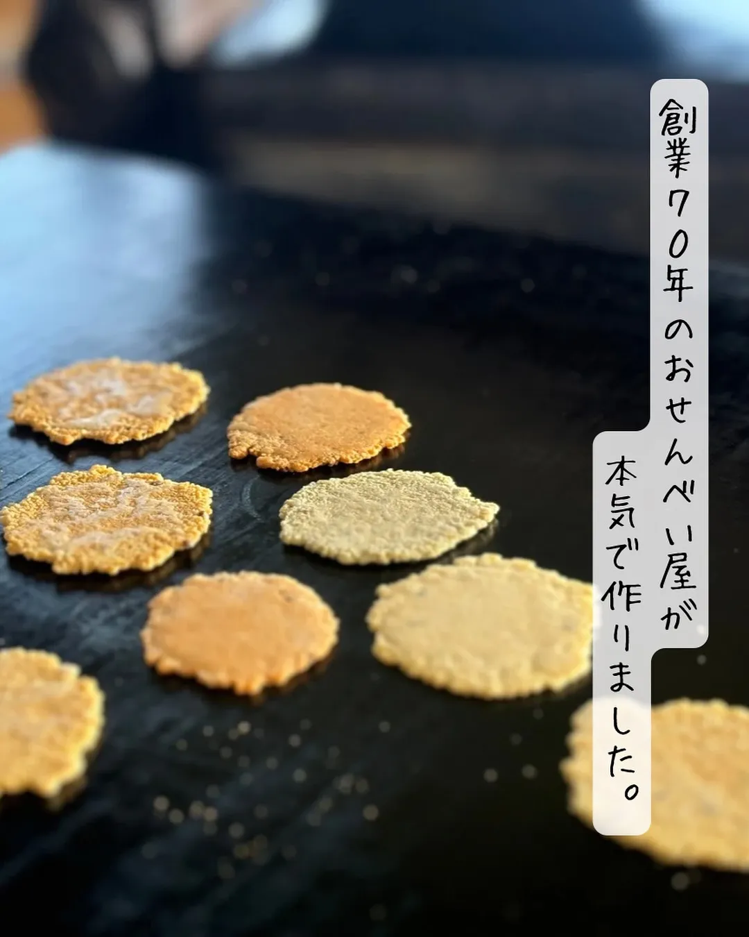 🎍🐾 ふりり 年末年始の営業時間のお知らせ 🐾🎍