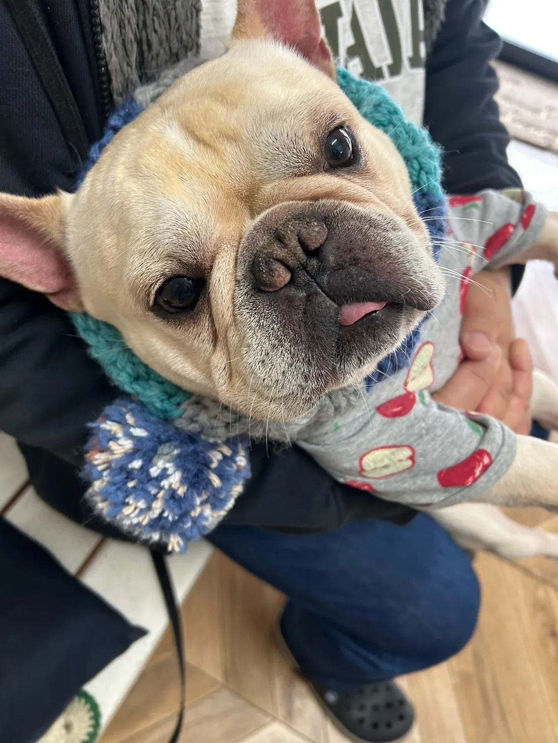 ブルラくん🐶選抜でご来店してくれました♪