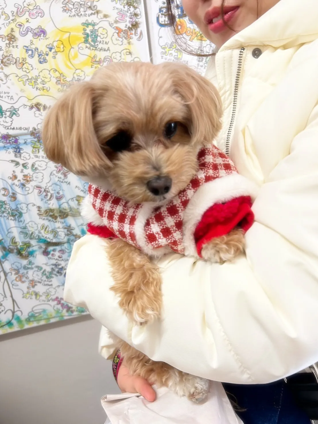 すごろくちゃん＆きなこちゃん＆リックちゃん