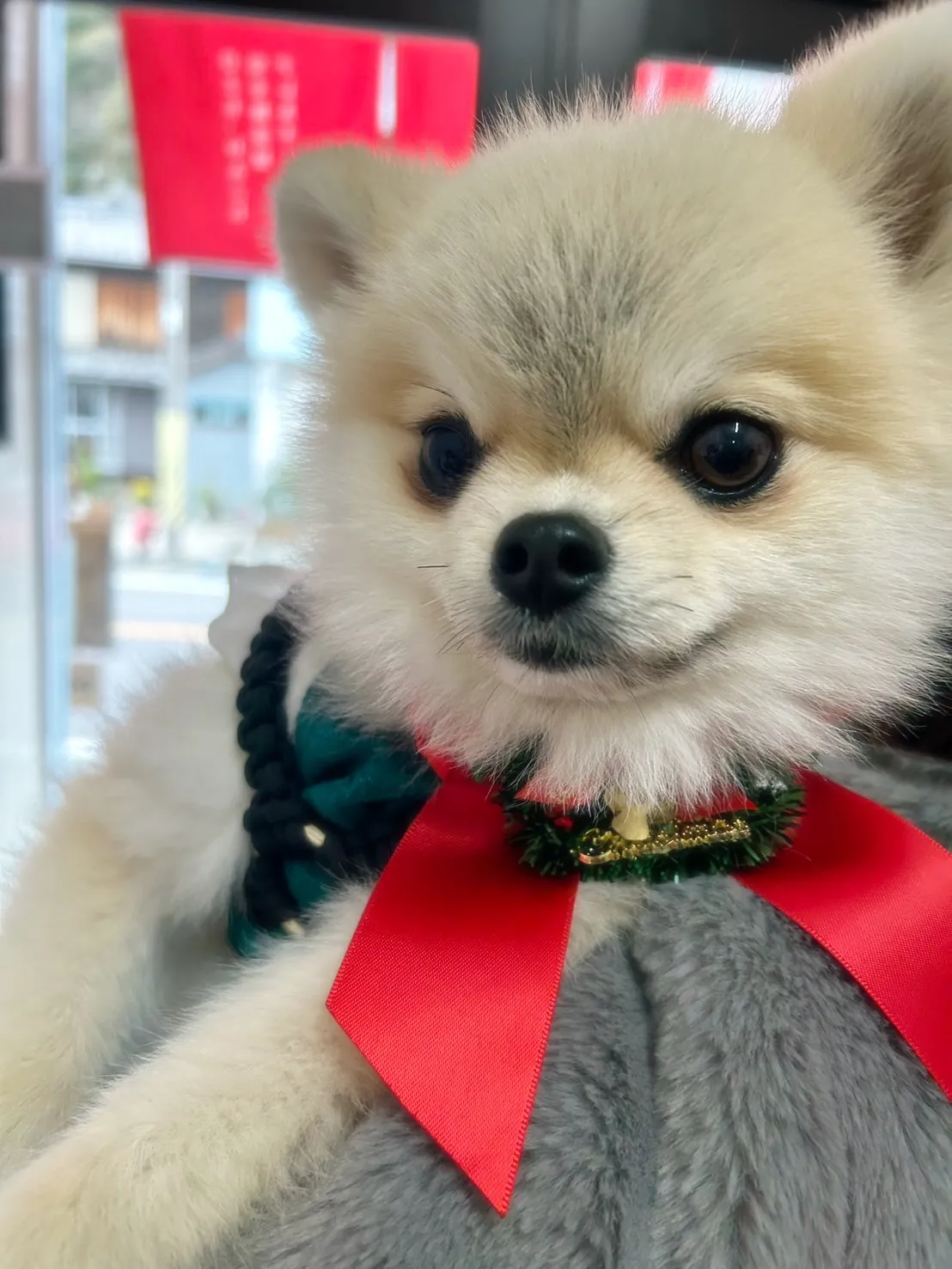 すごろくちゃん＆きなこちゃん＆リックちゃん