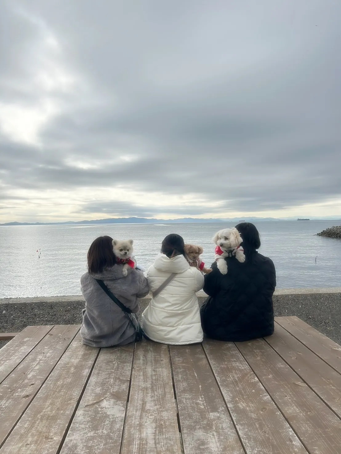 すごろくちゃん＆きなこちゃん＆リックちゃん