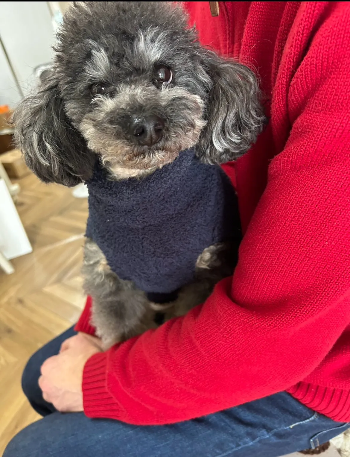 いつも応援してくれる