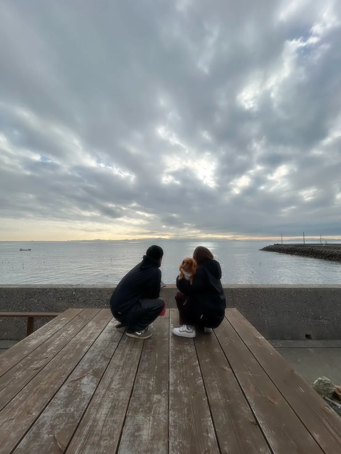 ベルちゃん(ミニチュアダックス11歳)🐶またまたご来店いただ...
