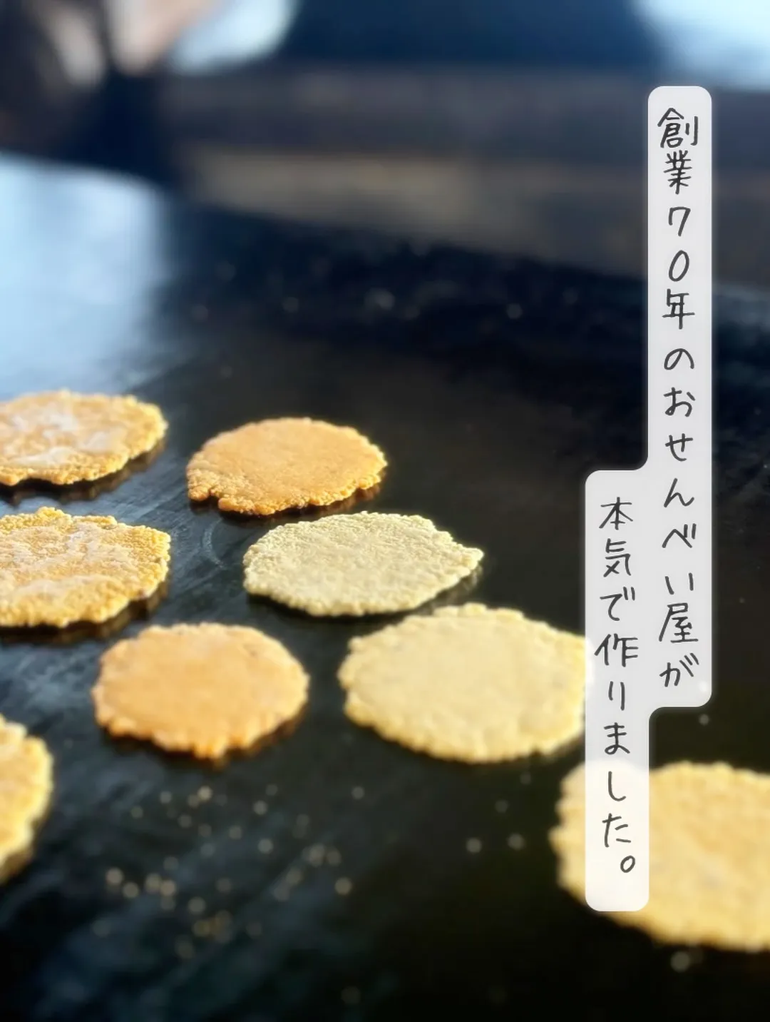 ベルちゃん(ミニチュアダックス11歳)🐶またまたご来店いただ...