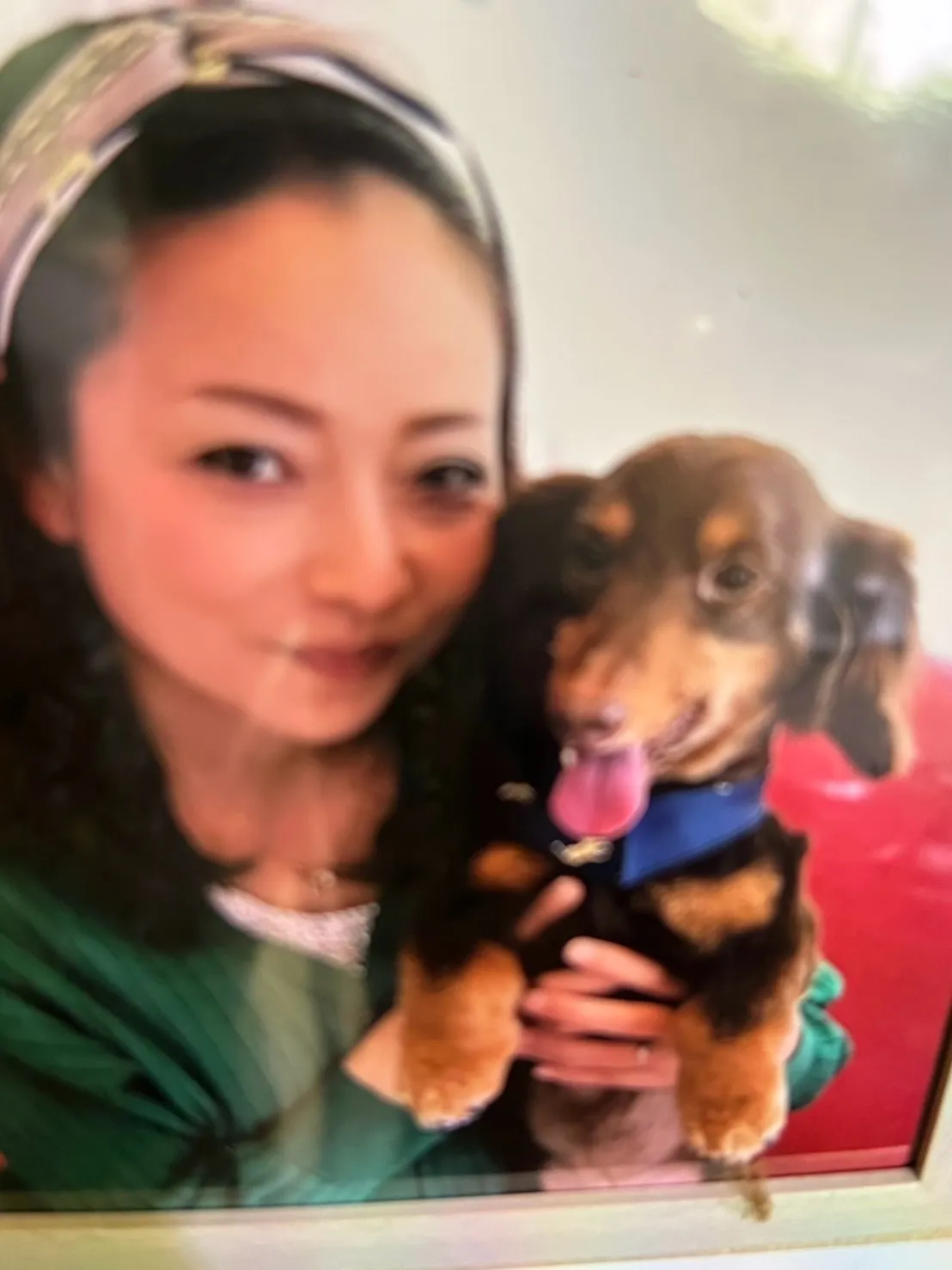 こむぎくん(ミニチュアダックス)のご家族さまがご来店