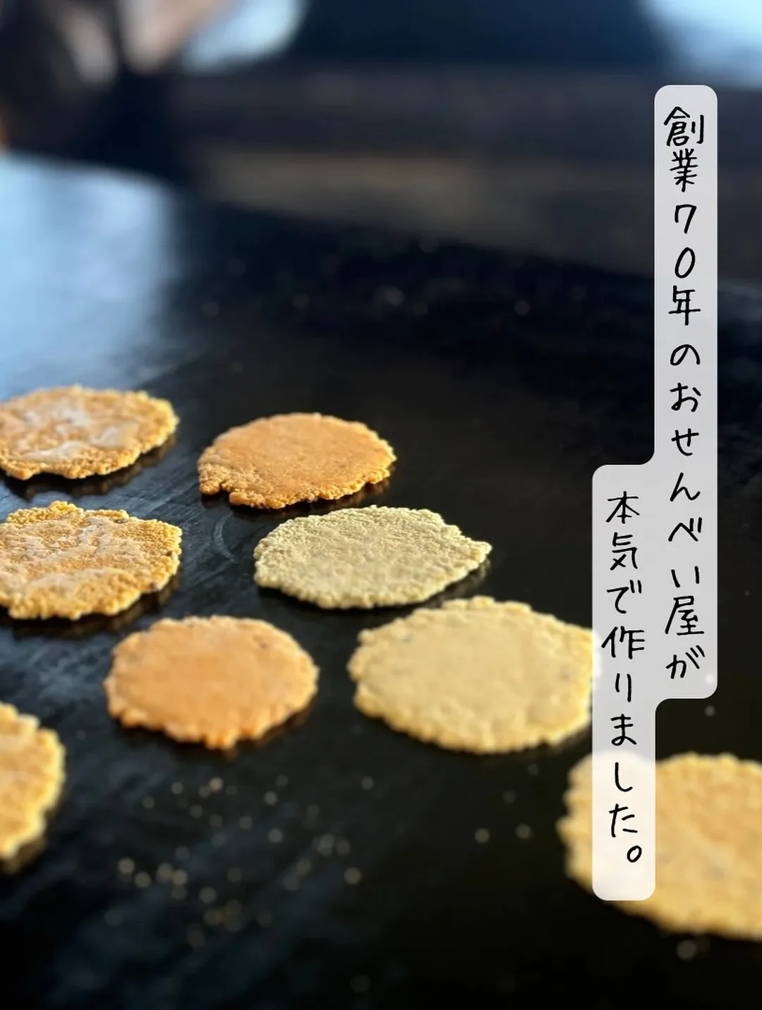 こむぎくん(ミニチュアダックス)のご家族さまがご来店