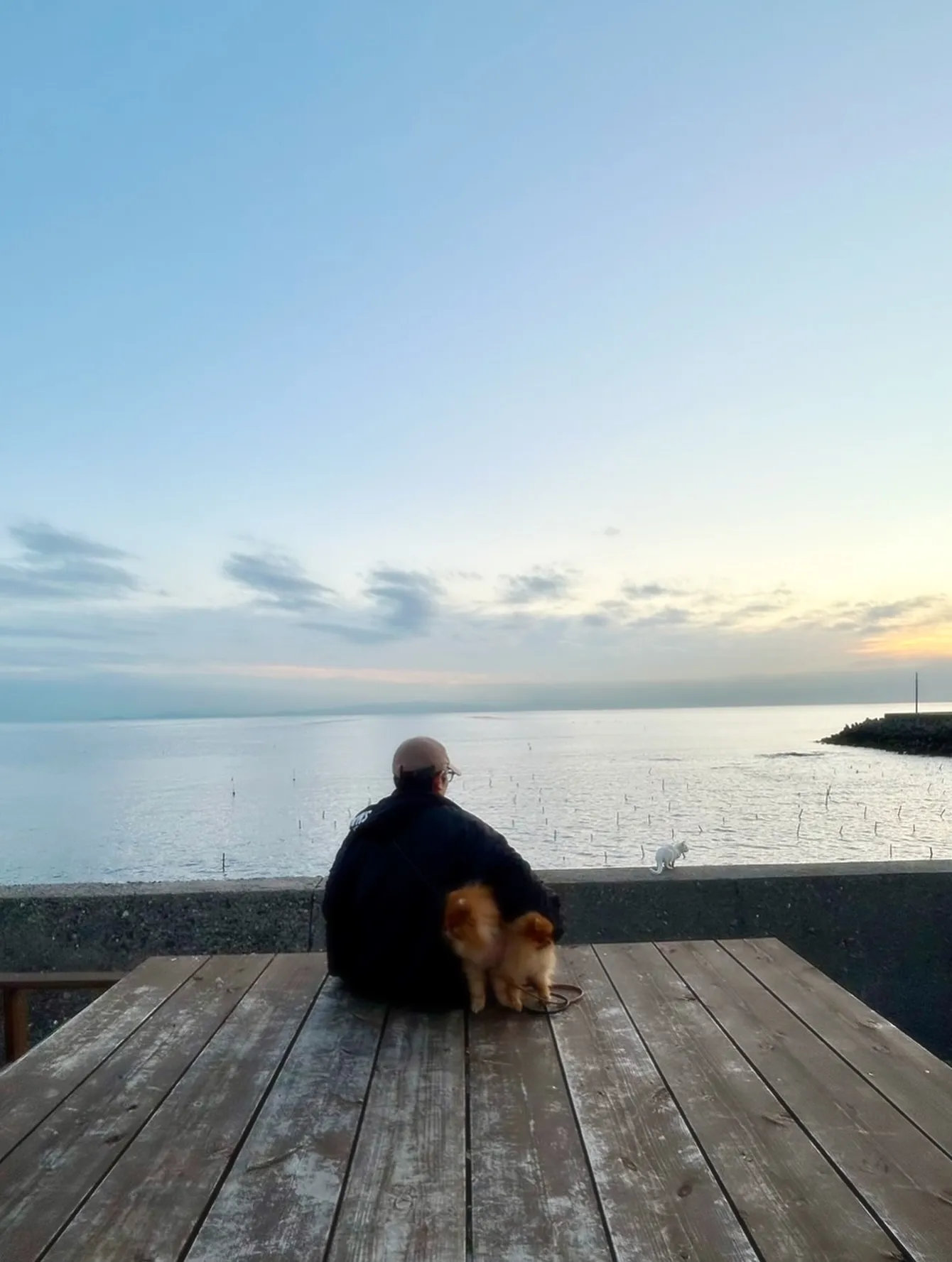 ルルちゃん&ハンクくん🐶🐶おせんべいも美味しく食べてくれて、...