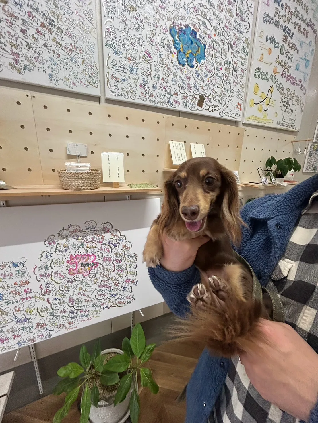 恥ずかしがり屋さんほど、車の中でにっこりぱくり♡ 鈴ちゃん｜...
