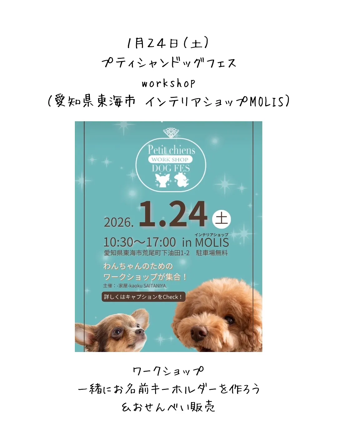 🕊️ 2026年1月 ふりり出店イベントのお知らせ 🕊️