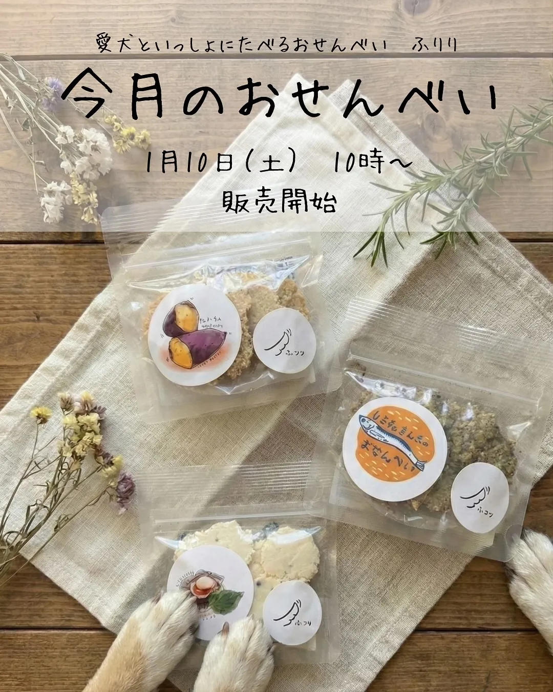 今月のおせんべい🐾