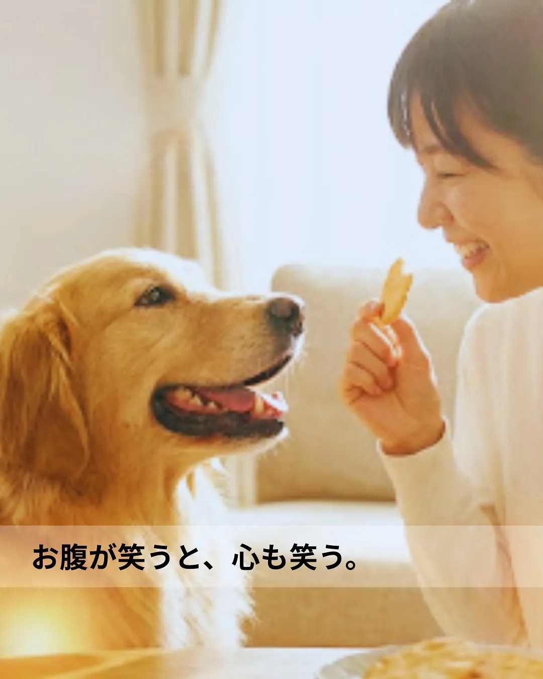 理学療法士が、おせんべいを焼く理由。