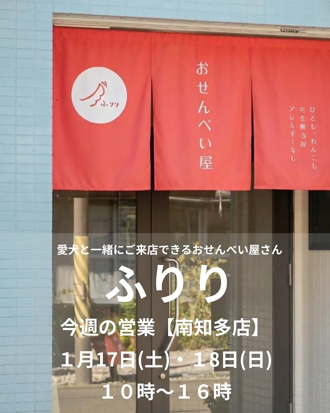 đšââïžçćŠçæłćŁ«ăæŹæ°ă§èăăăæçŹăźć„ćș·ăćźăăăăăčă...