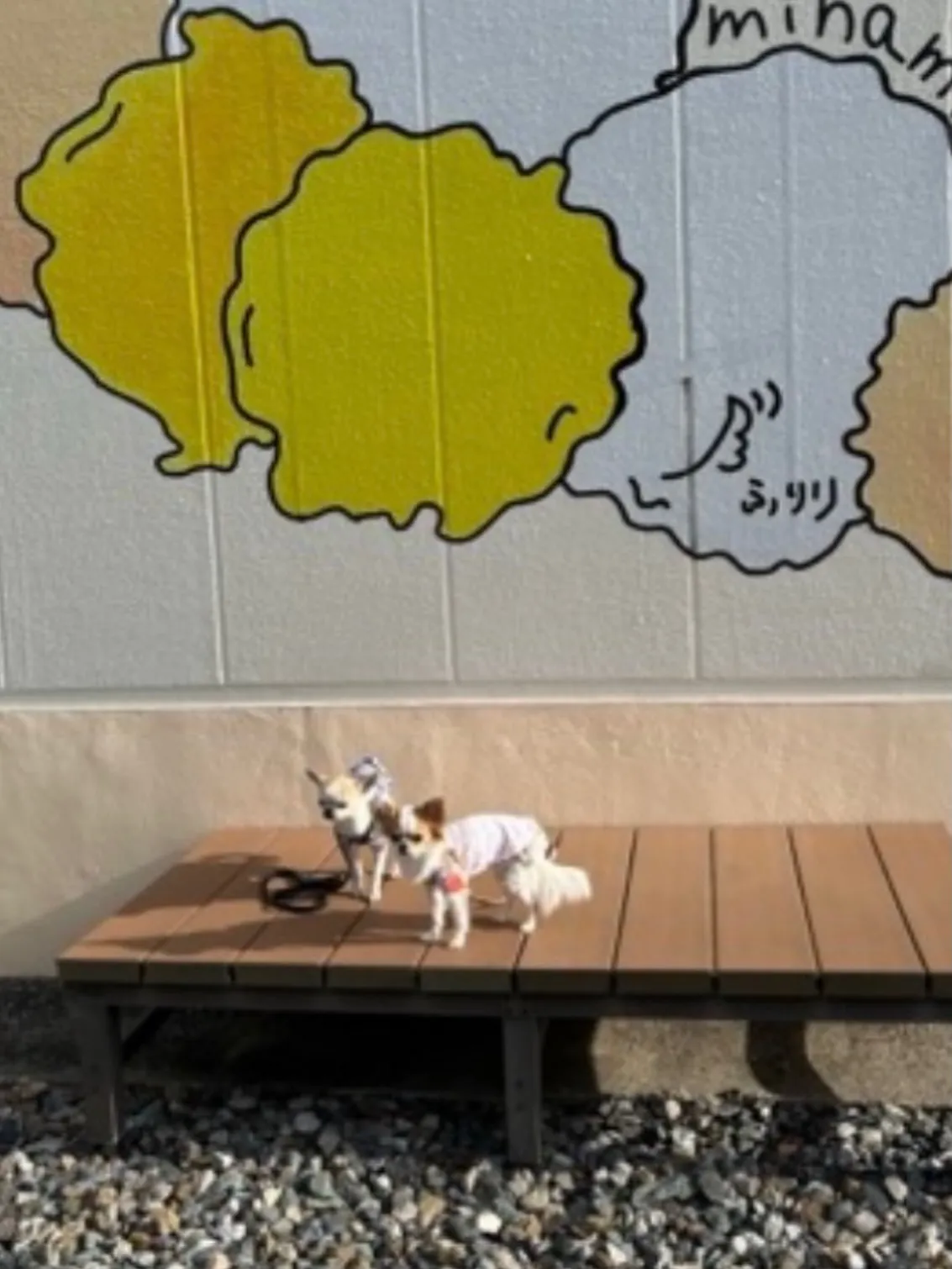 はるくん＆うみちゃん、今年も東京からご来店ありがとうございま...