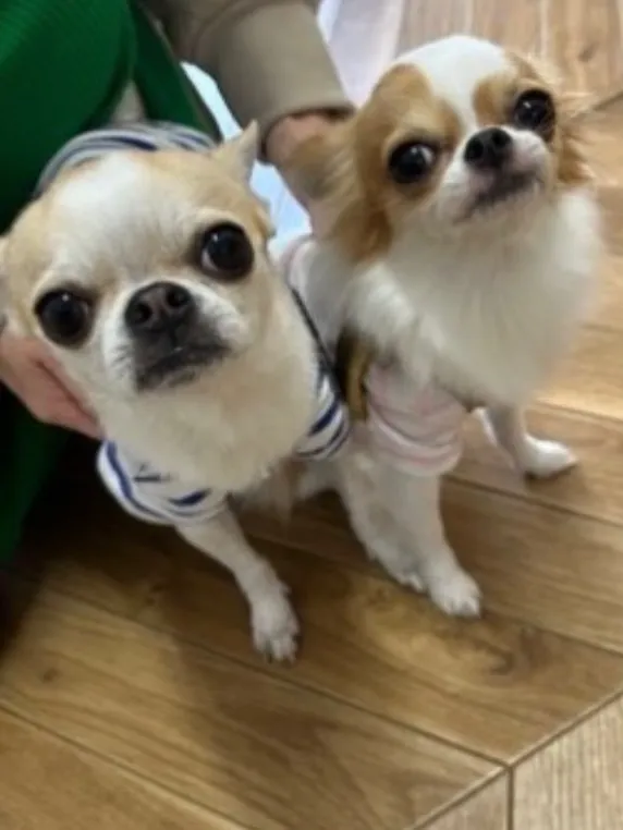 はるくん＆うみちゃん、今年も東京からご来店ありがとうございま...