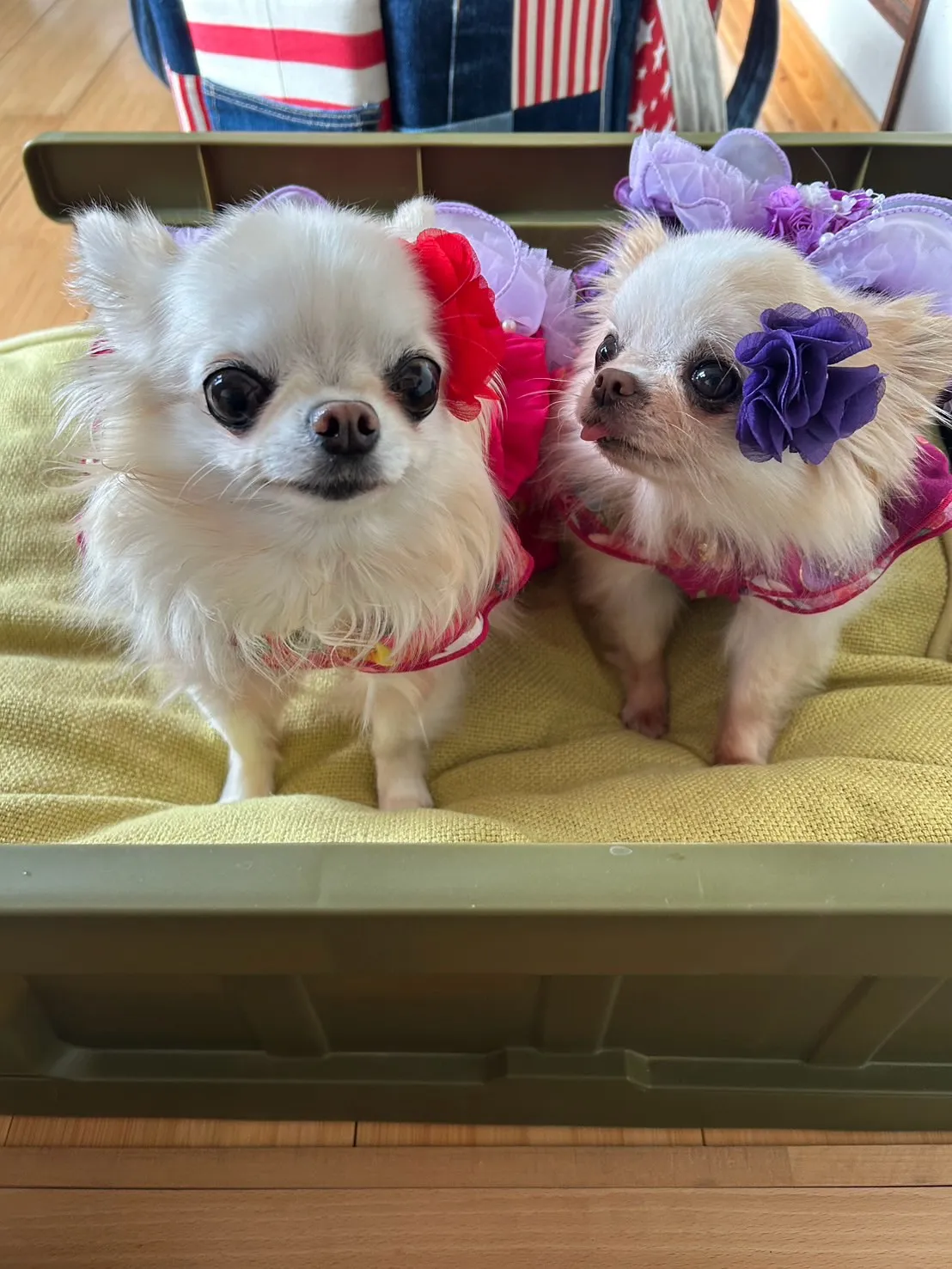 れあんちゃん＆あみんちゃんありがとう😊