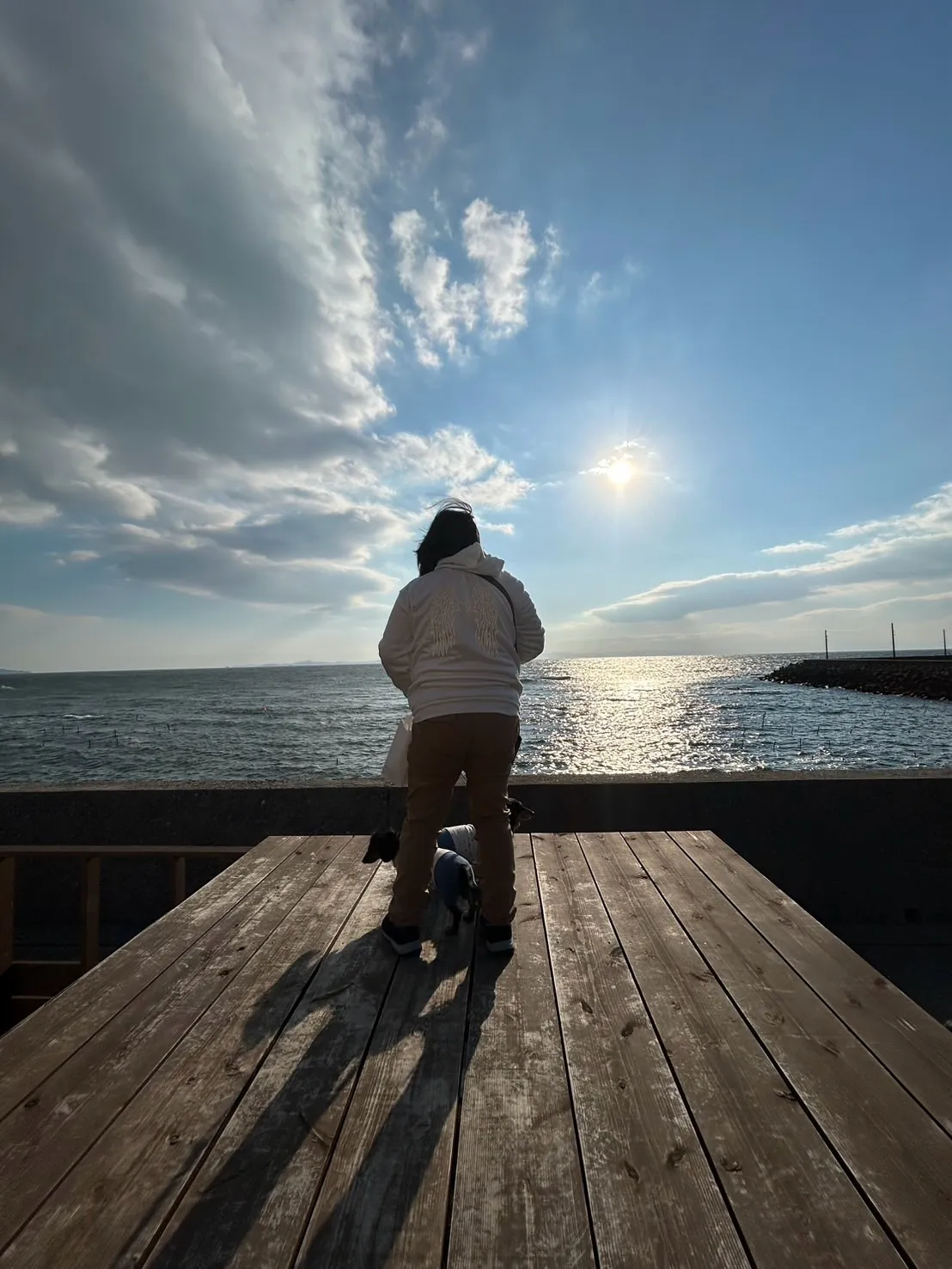 ふりりの工房の裏のわんぼうだい。