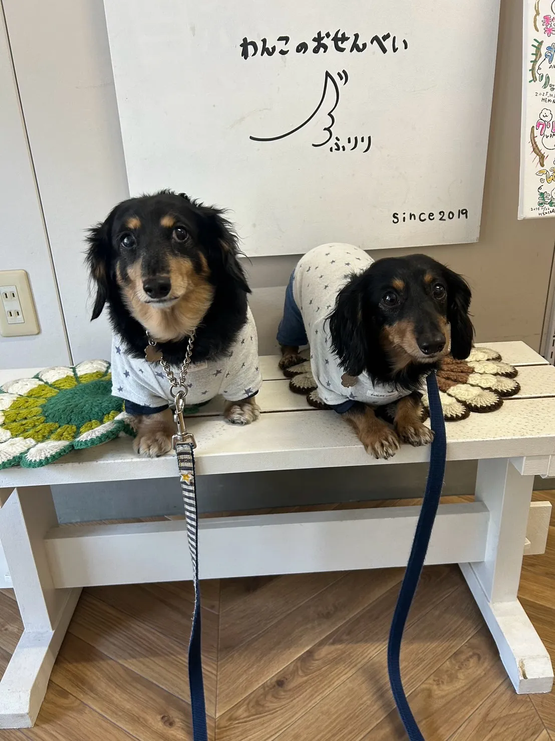 ふりりの工房の裏のわんぼうだい。