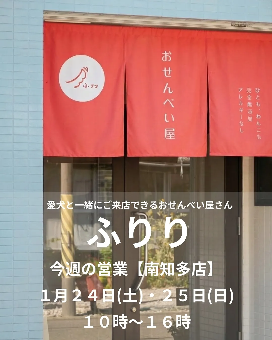 \今週末も愛犬と一緒にお待ちしています!/