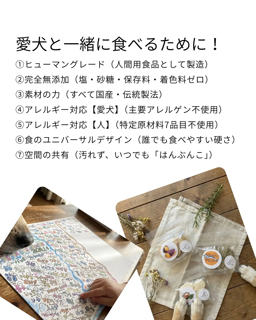 \今週末も愛犬と一緒にお待ちしています!/