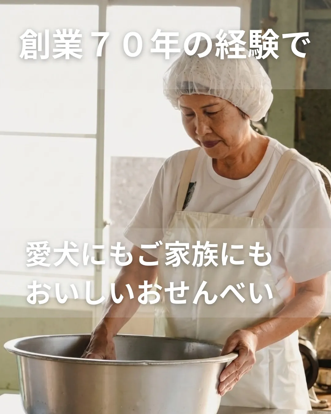 \今週末も愛犬と一緒にお待ちしています!/