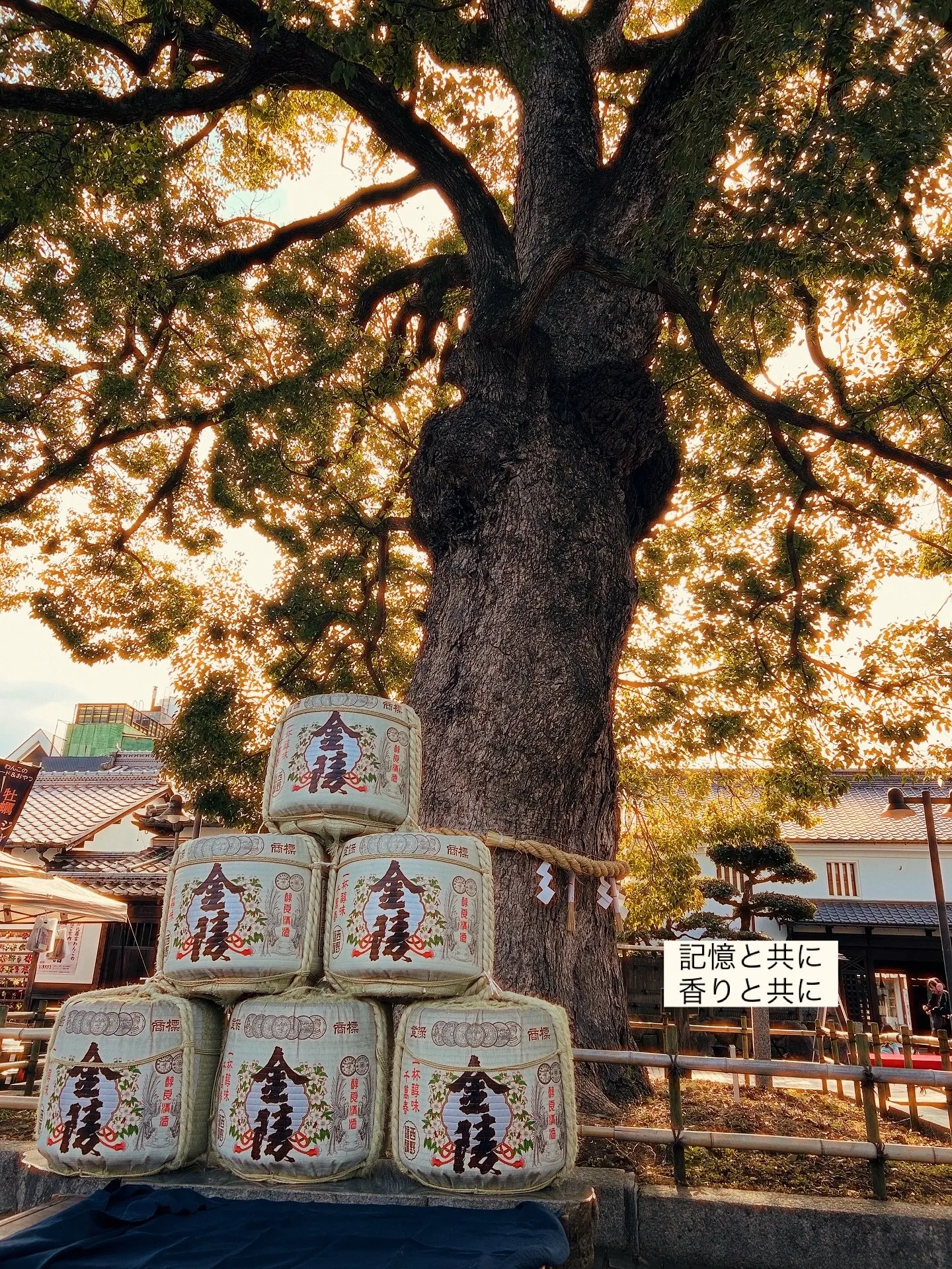 「境界線のないおせんべい」