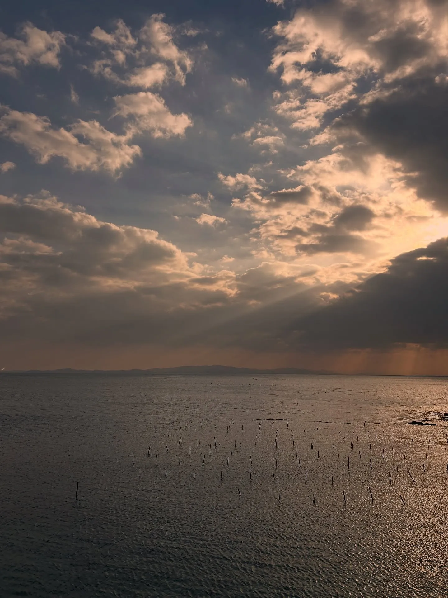 琴平から、南知多へ。