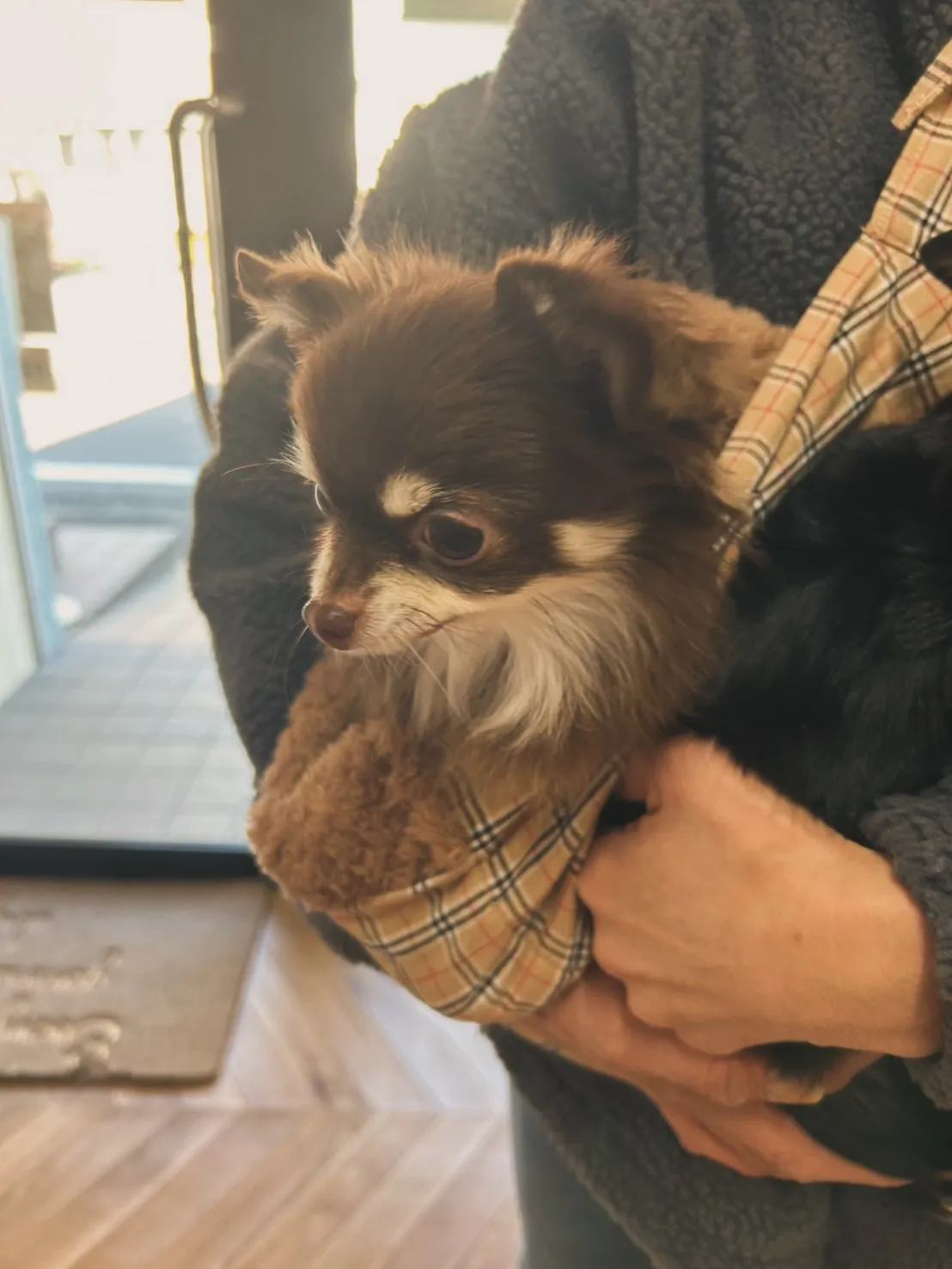 小枝ちゃんとむぎちゃん。