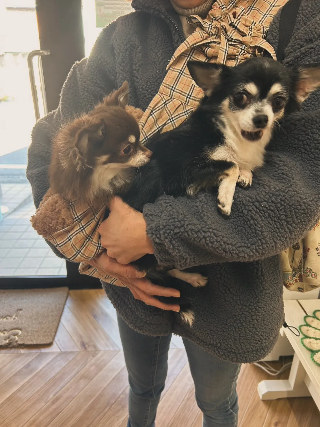 小枝ちゃんとむぎちゃん。