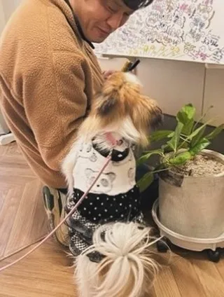 ルイちゃん　ふりりの里へ