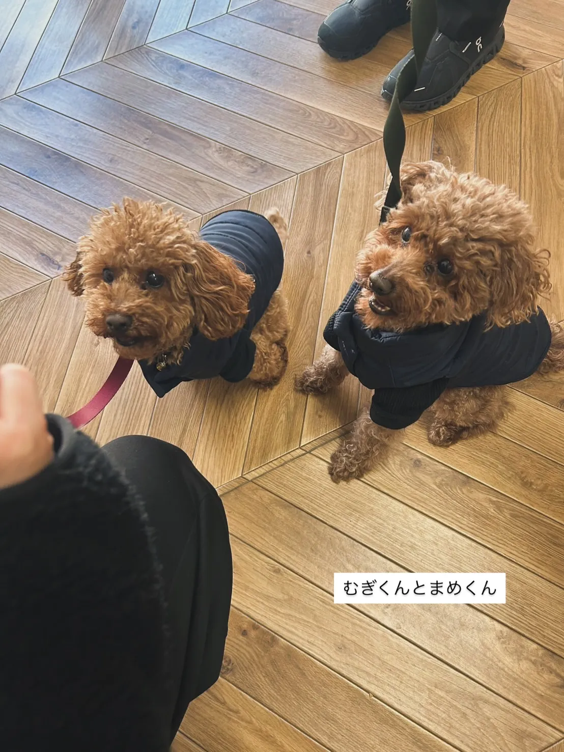 むぎくんとまめくん　ふりりの里へ