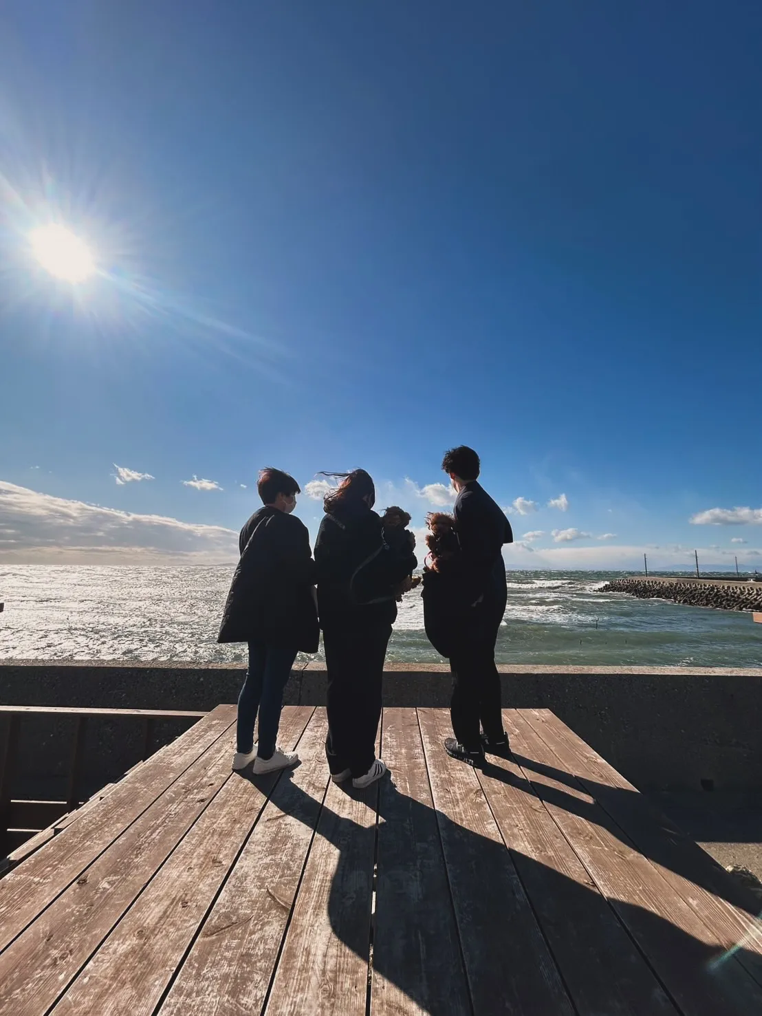 むぎくんとまめくん　ふりりの里へ