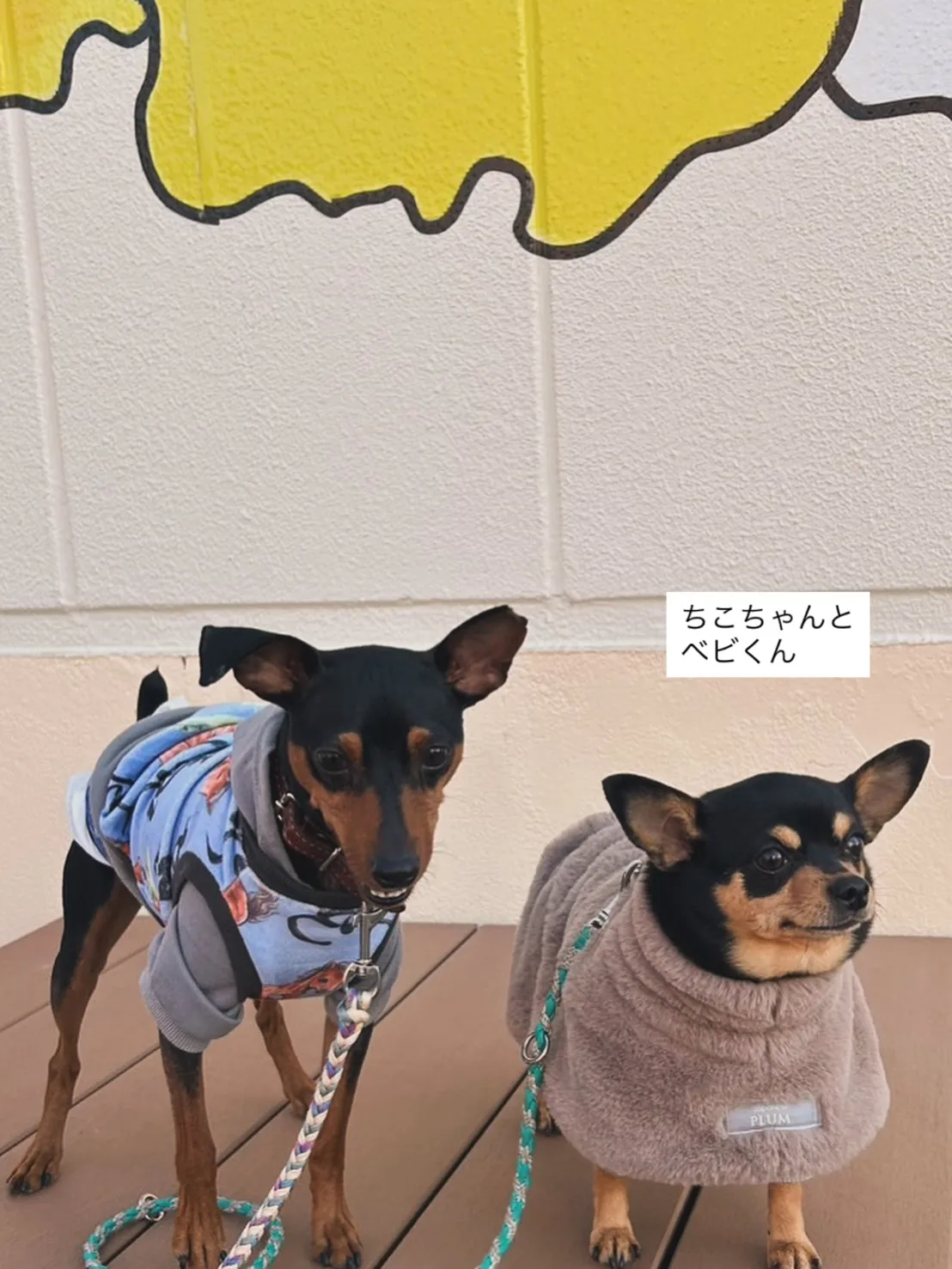 ちこちゃんとベビくん。