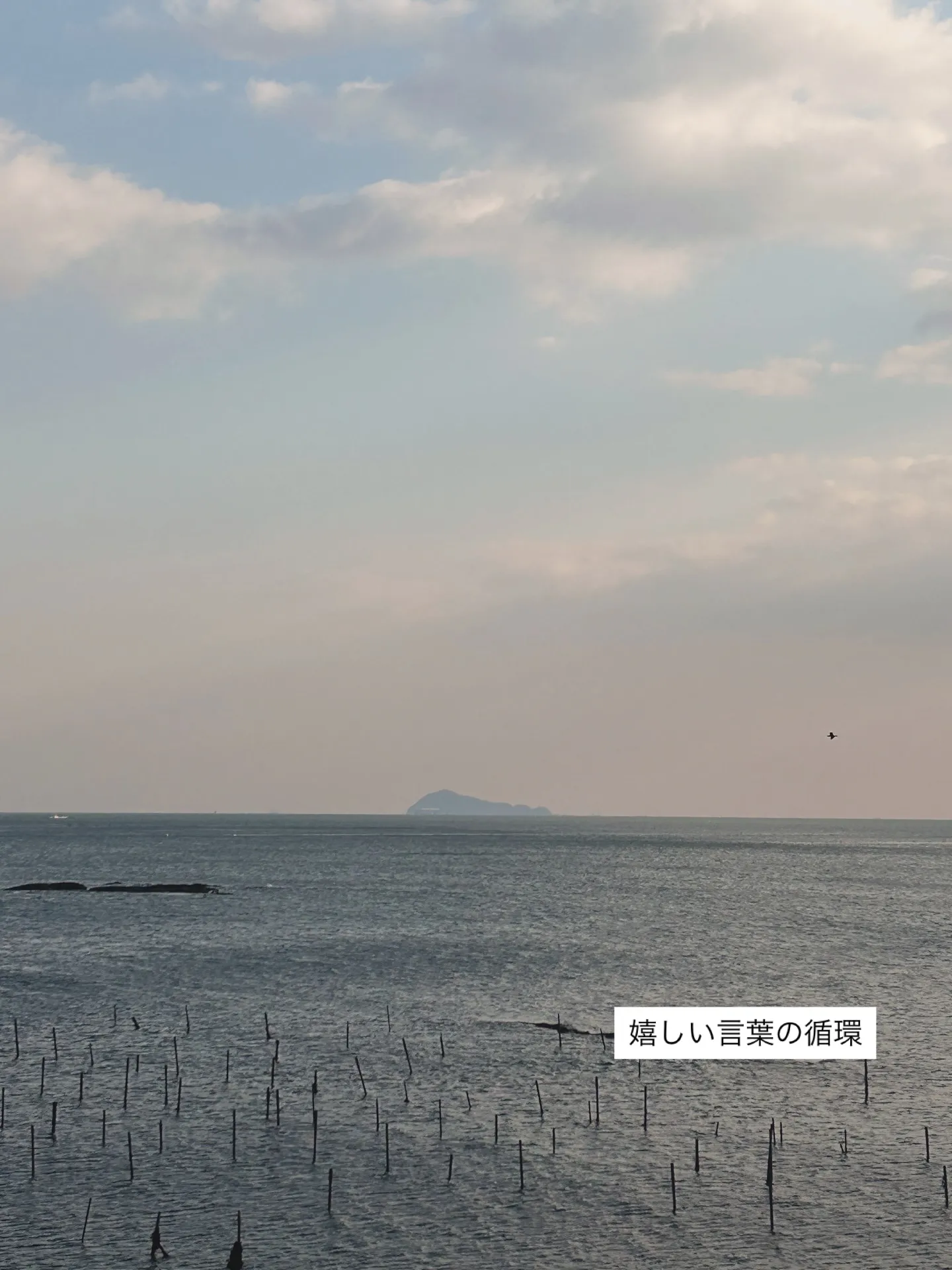 ちこちゃんとベビくん。