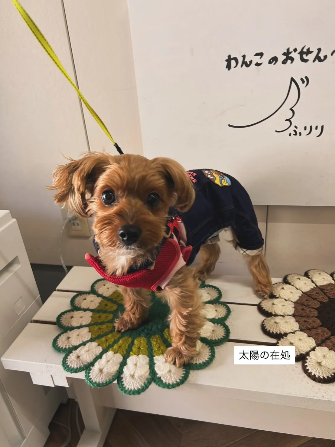 「太陽の在処（ありか）。