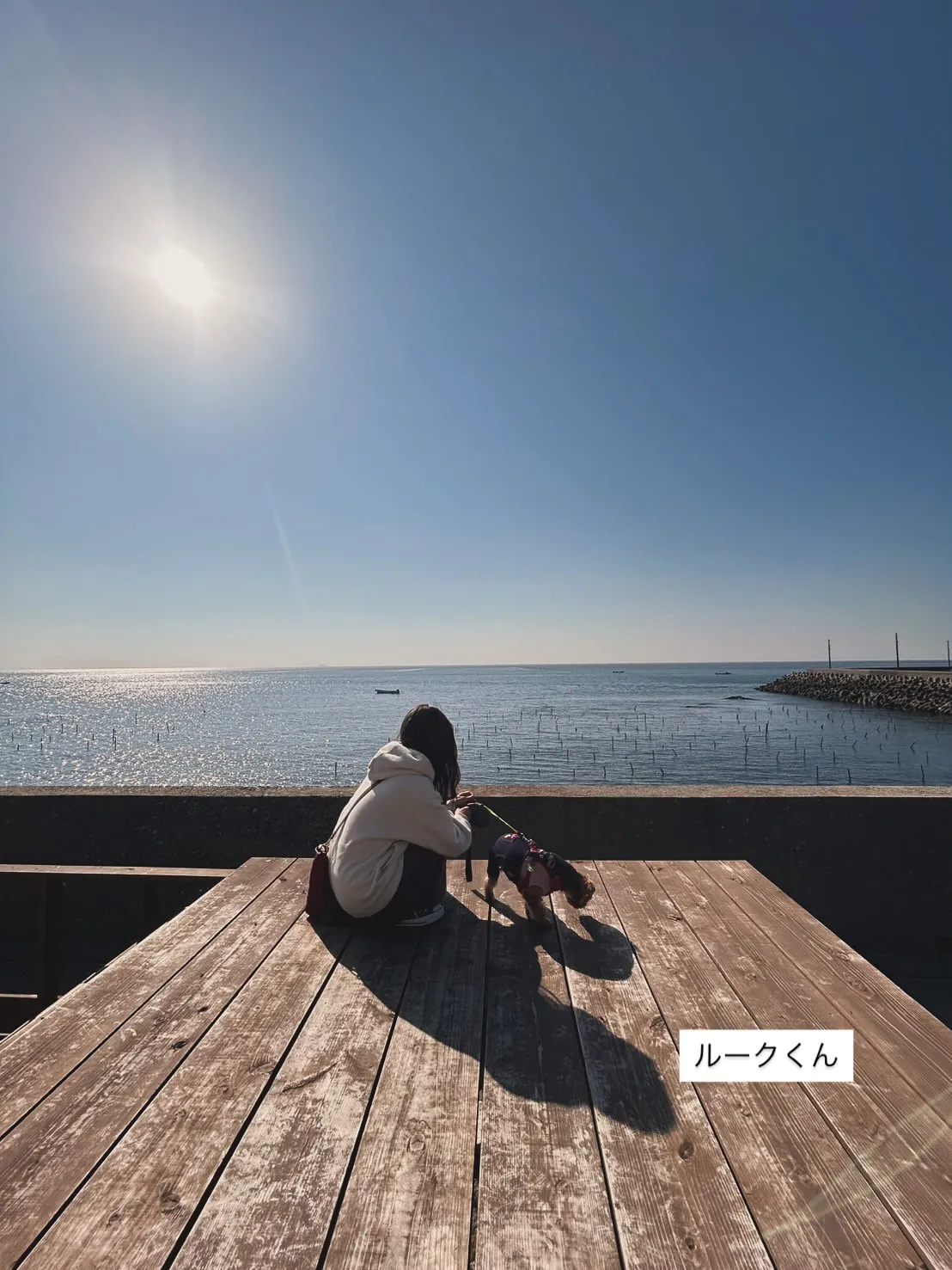 「太陽の在処(ありか)。