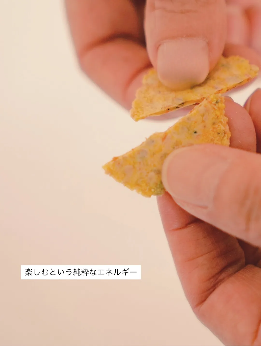 「太陽の在処(ありか)。