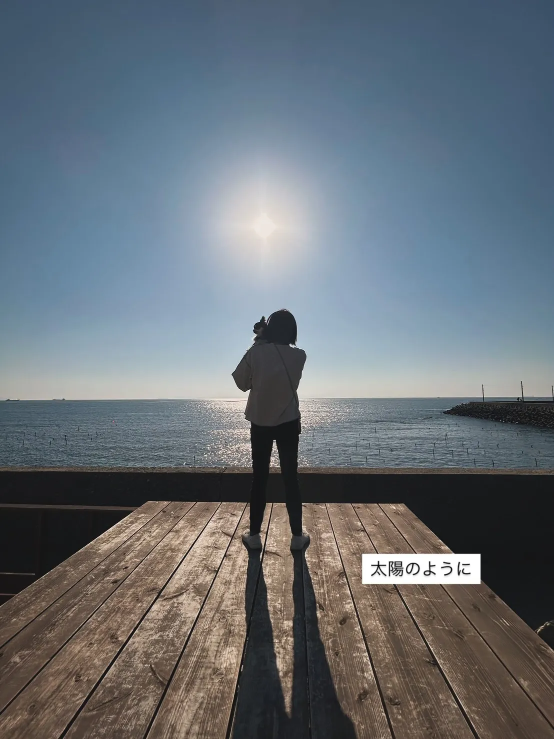 「太陽のように。