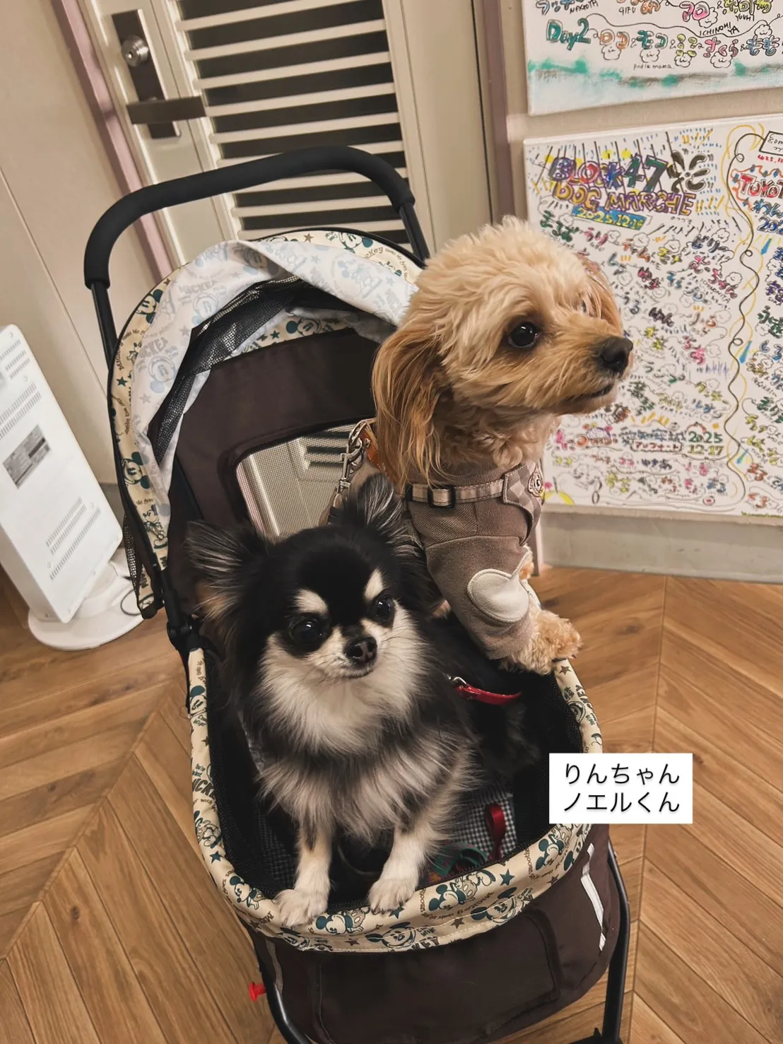 「太陽のように。