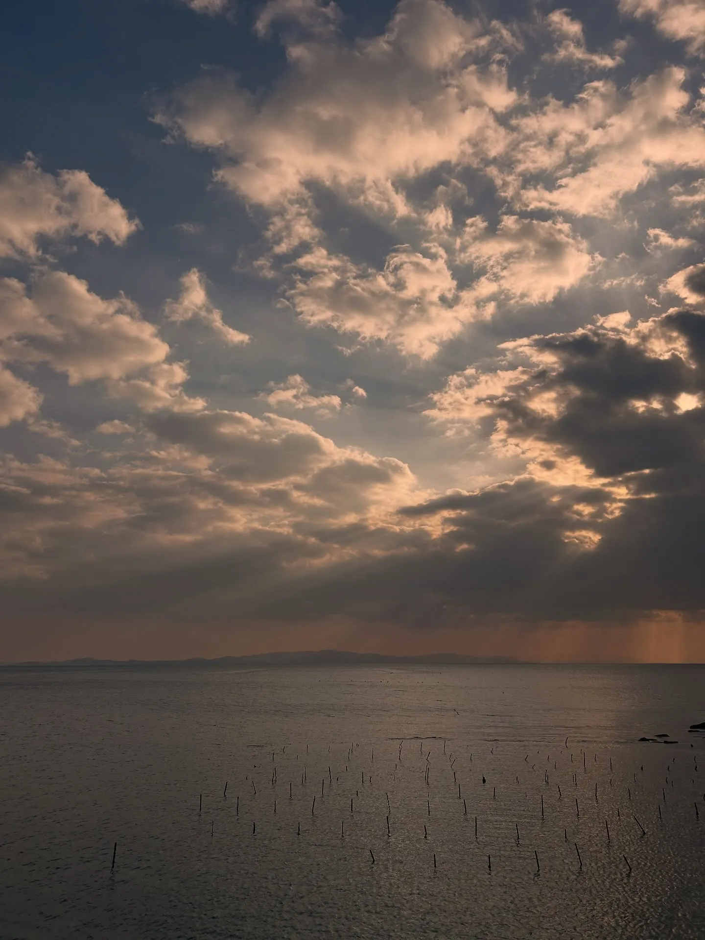 ルーク、お誕生日おめでとう。