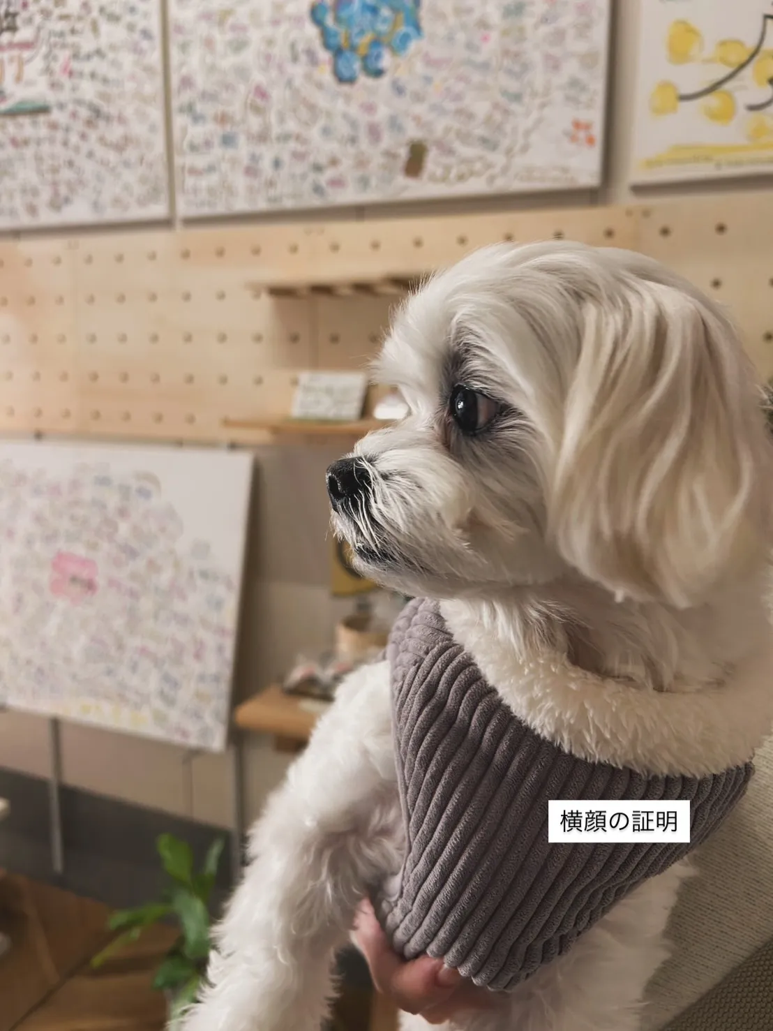 言葉よりも深く。