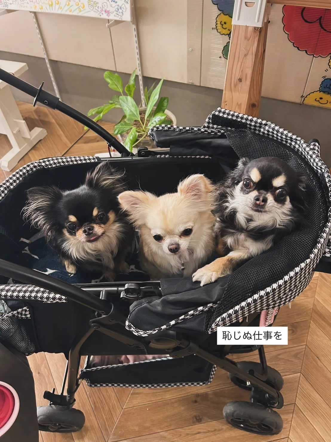 違う眼差し、違う鼓動。