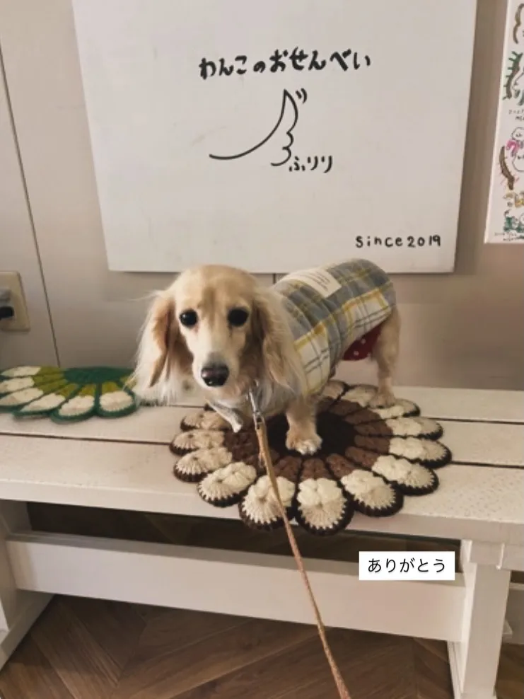 おせんべい美味しく食べてくれること